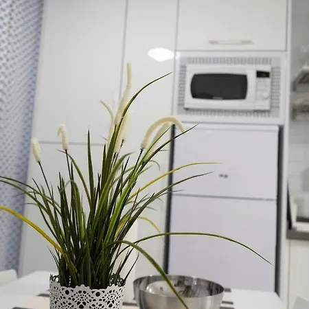 Centrico Apartamento Cerca De La Playa Apartament Puerto de la Cruz (Tenerife)