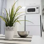 Céntrico Apartamento Cerca De La Playa * Puerto de la Cruz (Tenerife)