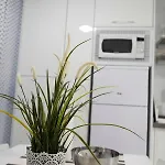 Céntrico Apartamento Cerca De La Playa Appartement Puerto de la Cruz (Tenerife)