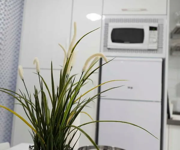 Centrico Apartamento Cerca De La Playa Apartment Puerto de la Cruz (Tenerife)